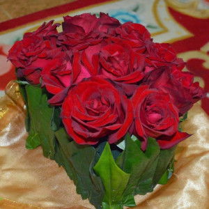 cahaya bulan profile icon