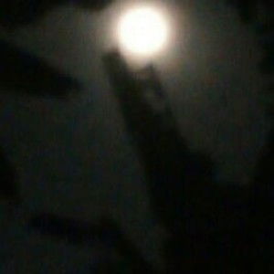 Pang Jamaree profile icon