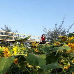 Rusita Sari profile icon