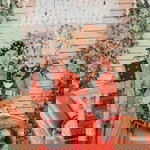 Muhammad Rifaldi profile icon