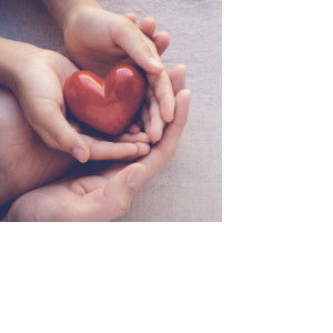 Cess Sanchez profile icon