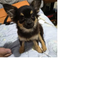 Cinderella Bethy profile icon