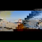 Riaah Alfiani profile icon