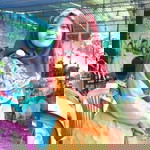 Suci Rahayu profile icon