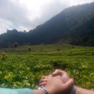 Weni Astuti profile icon