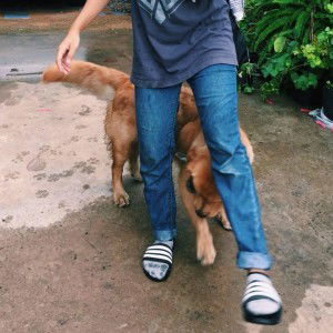 Navapat Boonprasop profile icon