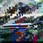 Selvii Yanii Riandy profile icon