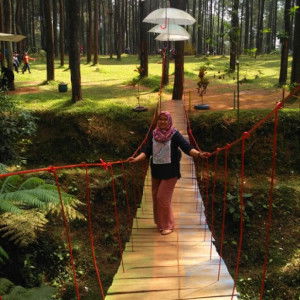 DWI KUSTIARINI profile icon