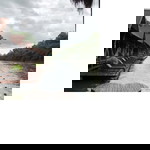 bnoi profile icon