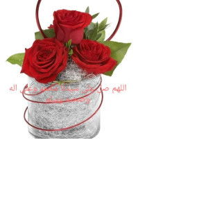 Amel Hanin profile icon