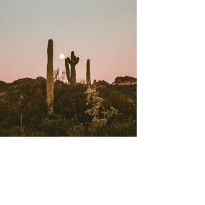 สุวิสา เจริญโรจ profile icon