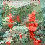 Siska Rahma Wahyudi profile icon