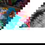 Dewi Lestari profile icon