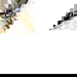 JJ profile icon