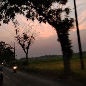 Anitasari profile icon