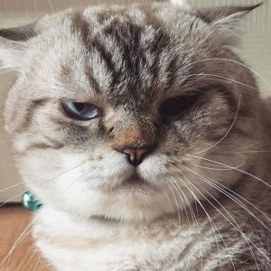 Rainy High profile icon