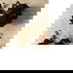 นาริน ^^ profile icon