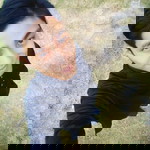 Fitry Ahmad profile icon