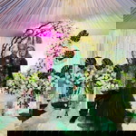 Rsmn Nsha profile icon