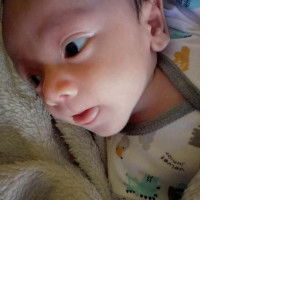 viviyulia 16 profile icon