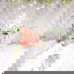 Iemha Fafiie profile icon