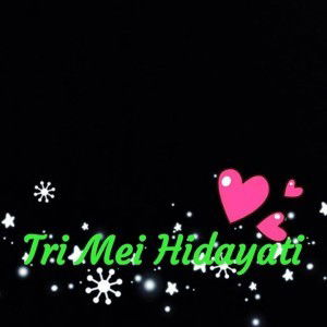 Ummu Maulana Ummy Mei profile icon