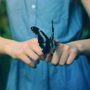 causeifeel blinded profile icon