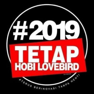 Hyuha Wanys profile icon