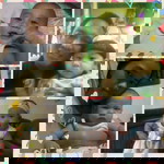 Tet Maurillo Fernando profile icon