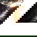 Uray Muthia Nurulhuda profile icon