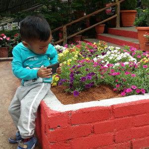 Viana VN profile icon