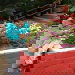 Viana VN profile icon