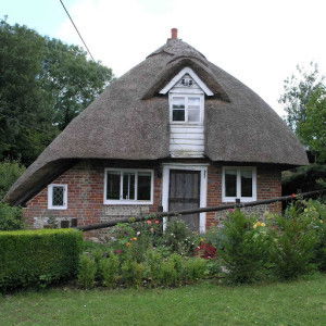 Blue_Owl profile icon