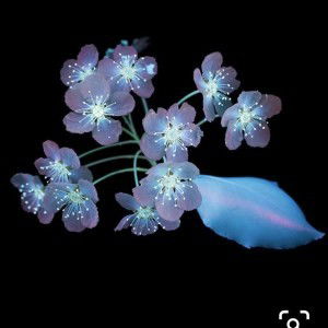 Eka Febri profile icon