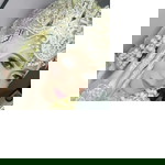 Nadine Nurul Fadilah profile icon