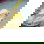 เฌอแตมป์ profile icon