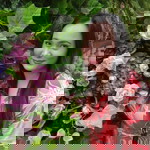 Ylevol Francisco profile icon