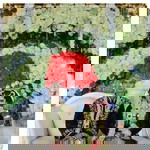 Vivi Erlitasari profile icon