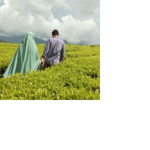 Sri Syafitri Azhari profile icon