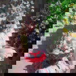 Ade Siti Marsinah profile icon