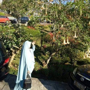 Hesti Kidzman profile icon