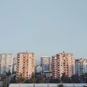 Sarahaloo profile icon