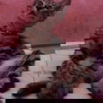 Rizka FitRia Lubis profile icon