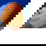Paity profile icon