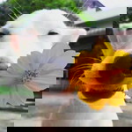 ทางของฉัน ฝันของเธอ profile icon