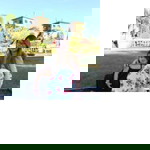 Maryjane Labrador profile icon