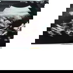 เนย เนย profile icon