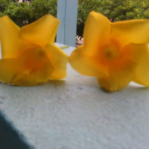 นางสาว วาสนา มาลาศรี profile icon