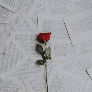 Mỹ Hạnh profile icon