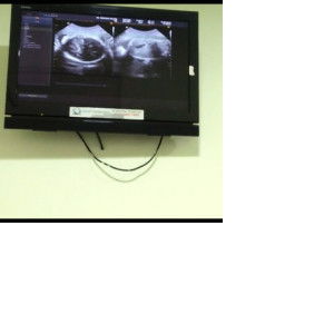 FIRTA FIRMAN NITA profile icon